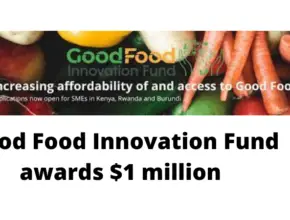 Good Food Innovation Fund awards $1 million for healthy food