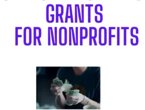 Nonprofit capacity building grants