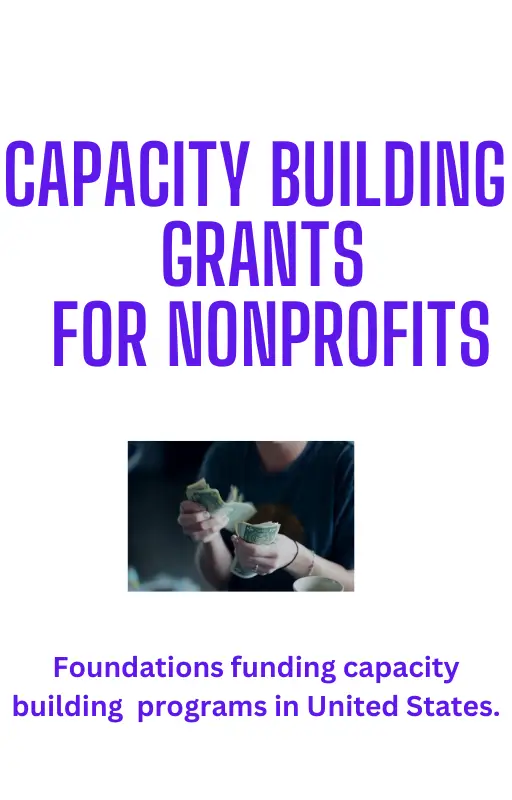 Nonprofit capacity building grants