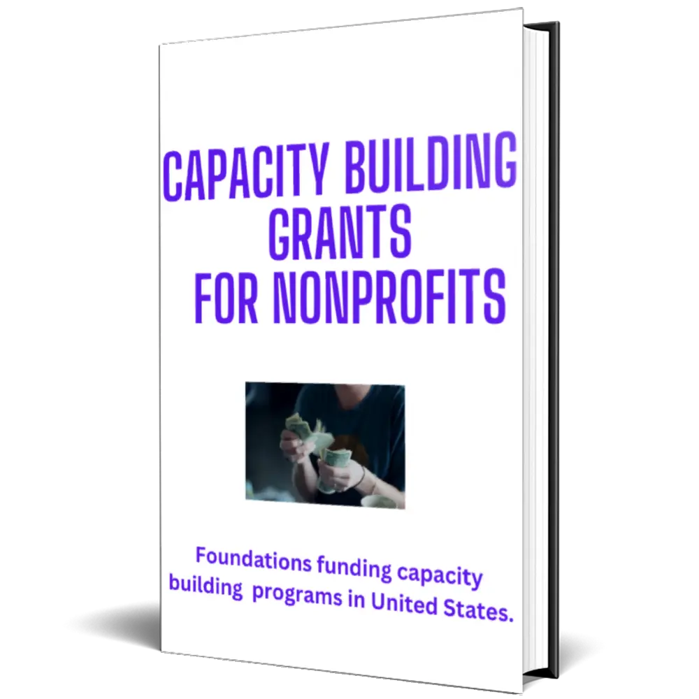 capacity building grants for nonprofits