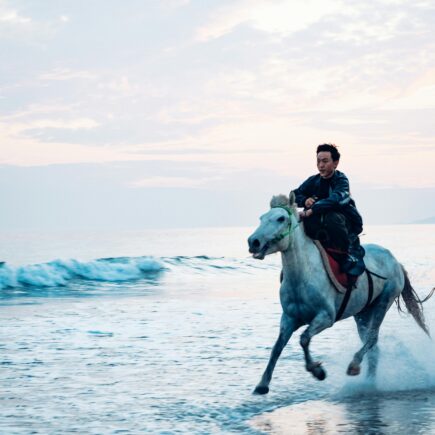 Grants for Therapeutic Riding Programs