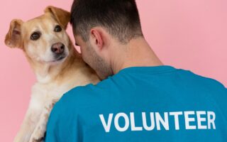 Types of Grants for Dog Rescues