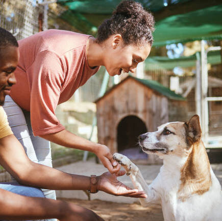 Nonprofit Animal Rescue Grants