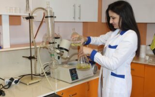250K National Science Foundation Grant