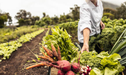 Top Grants for Community Garden Projects