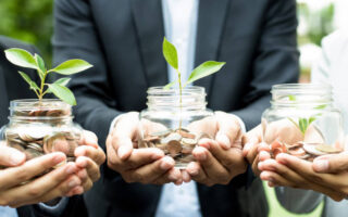 Environmental Grants for Nonprofits: Funding for Conservation, Climate and Community Projects