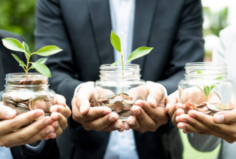 Environmental Grants for Nonprofits: Funding for Conservation, Climate and Community Projects